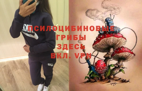 молекула духа Краснотурьинск